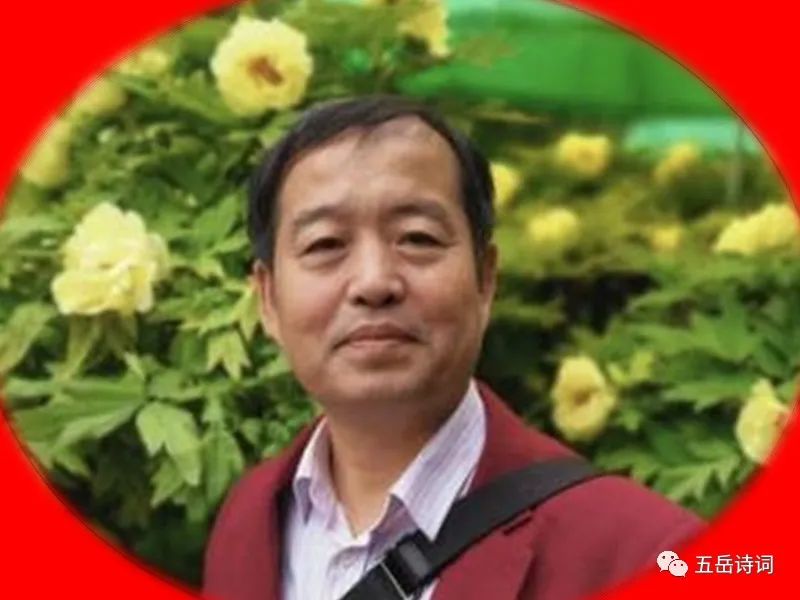 ［新声逸韵］优秀作品合集第19期（总0365）