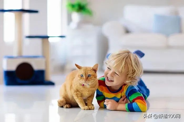 什么是地暖冷气一体机,空气能空调地暖热水一体机多少钱