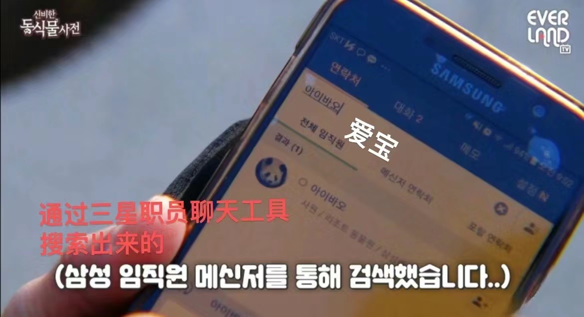 近期福宝和姜爷爷的视频,福宝回国姜爷爷和宋爷爷上热搜