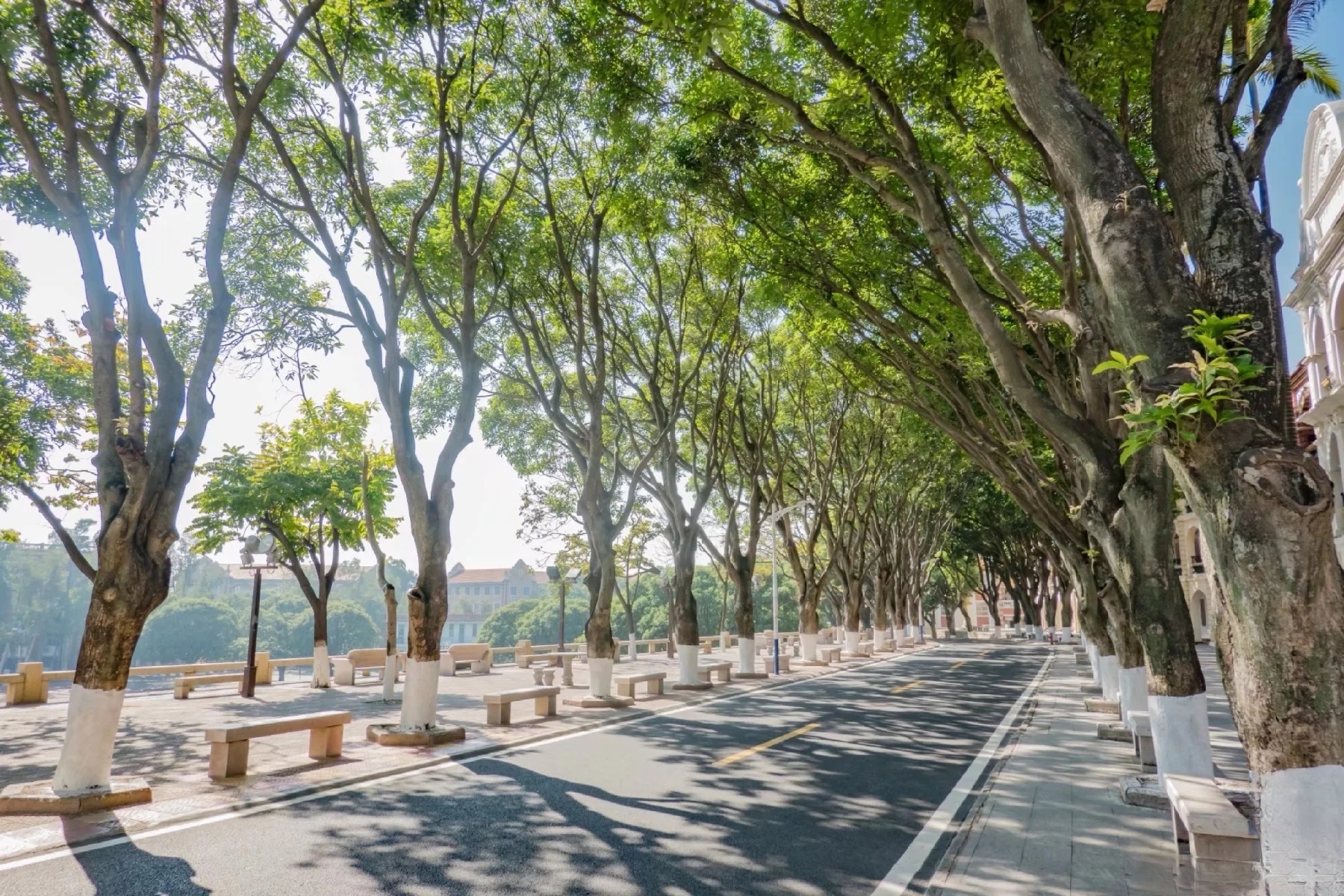 来厦门旅游该怎么玩,来厦门旅游该怎么玩呢