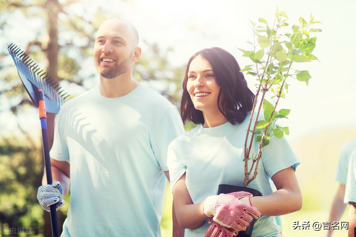 园艺公司起名大全,园艺公司起名