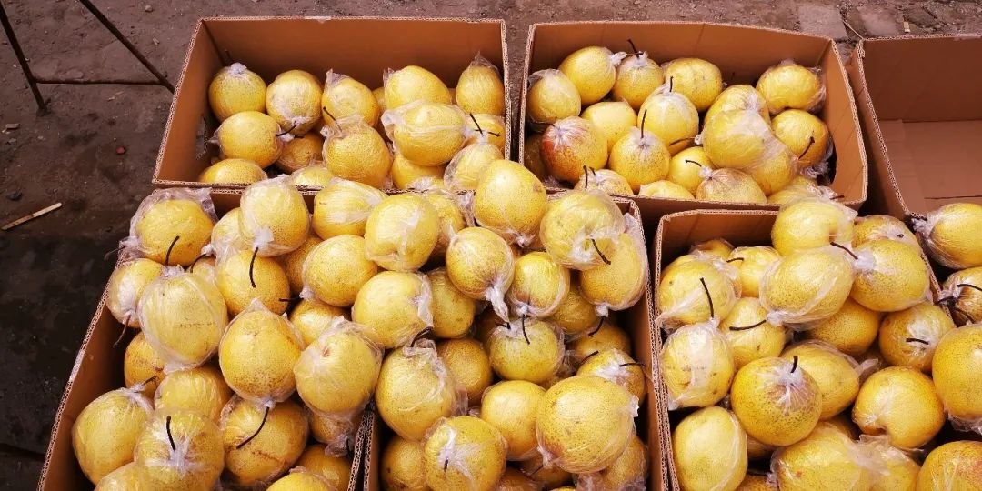 两串葡萄568元,街上叫卖20元一箱的葡萄