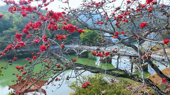 两人从化两天一夜游玩攻略,去从化玩的攻略