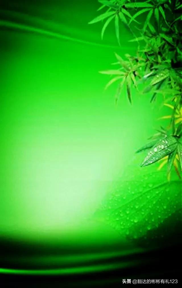 难得一见绝美一清二楚郁金香壁纸,难得一见雪景壁纸