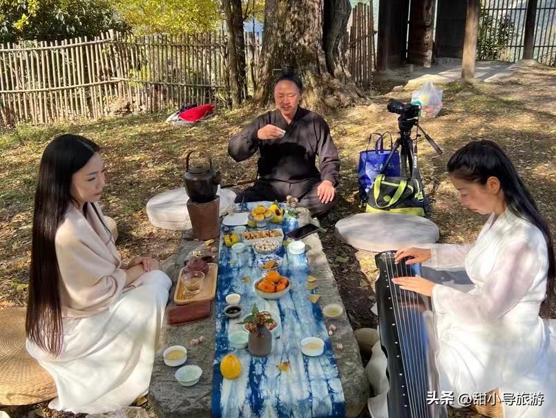 千年老银杏树下,千年银杏树之下