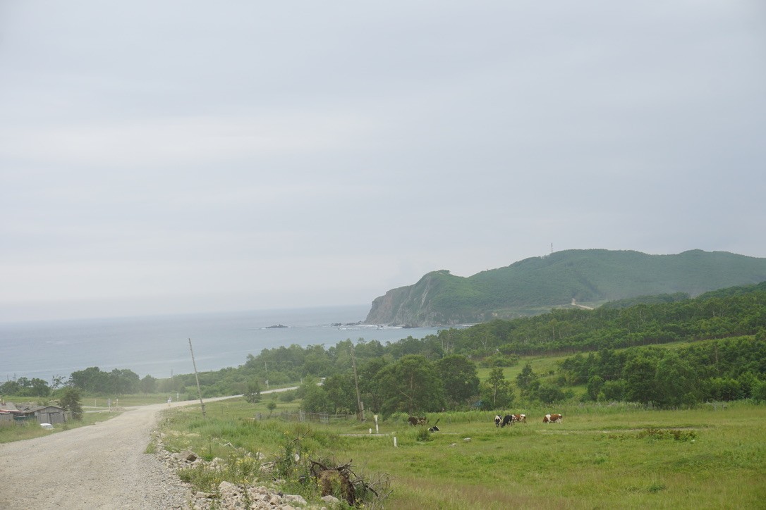 运动医学髋关节,躺着运动髋关节
