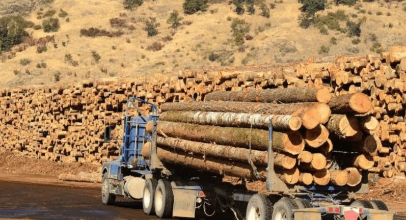 十九世纪前的俄中外交及贸易关系,18世纪世界贸易变化的影响