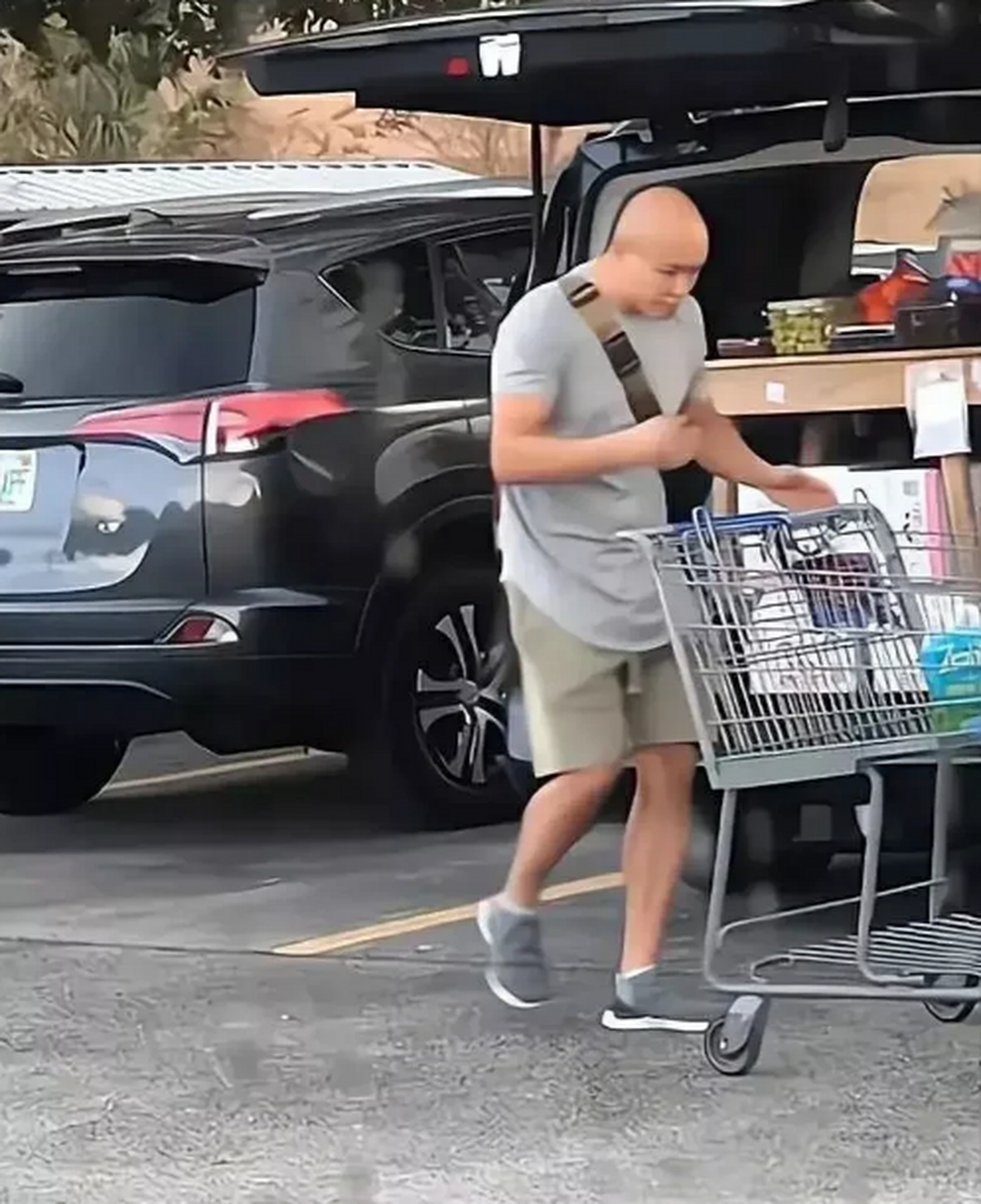 乐嘉定居哪里,乐嘉移民了吗