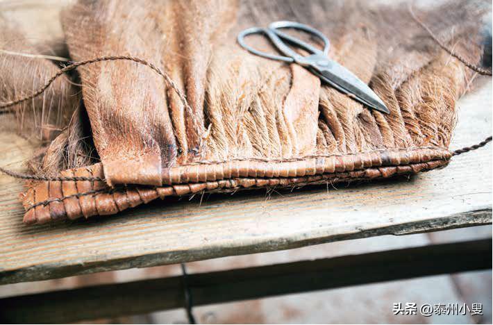 寒江蓑笠翁，细说蓑衣史