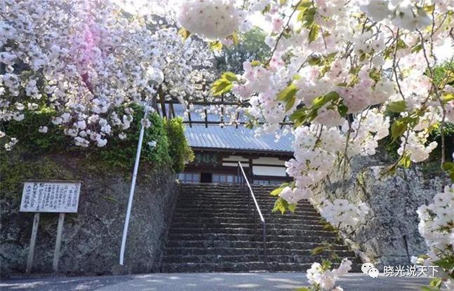 中日文化交流史导论,中日文化交流史视频