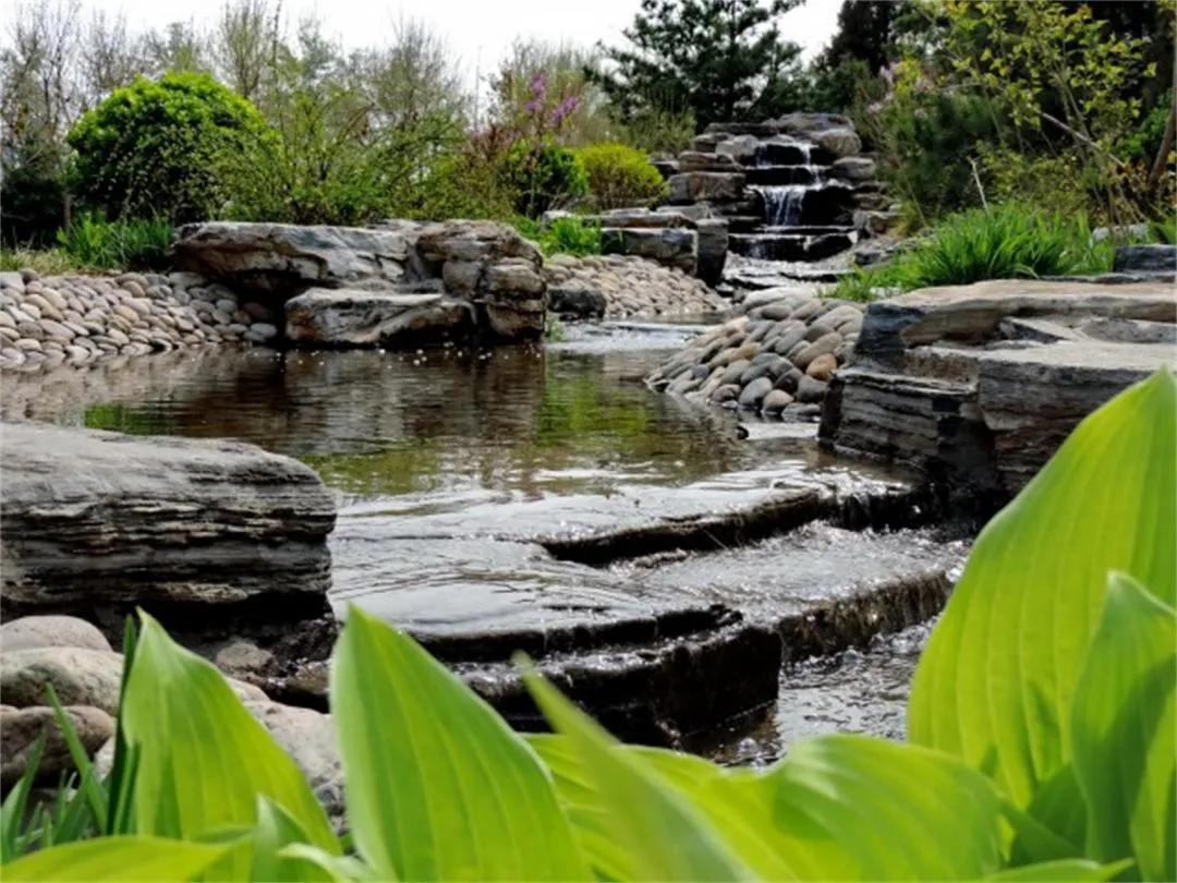 中外合办中央财经大学,中央财经大学双一流学科