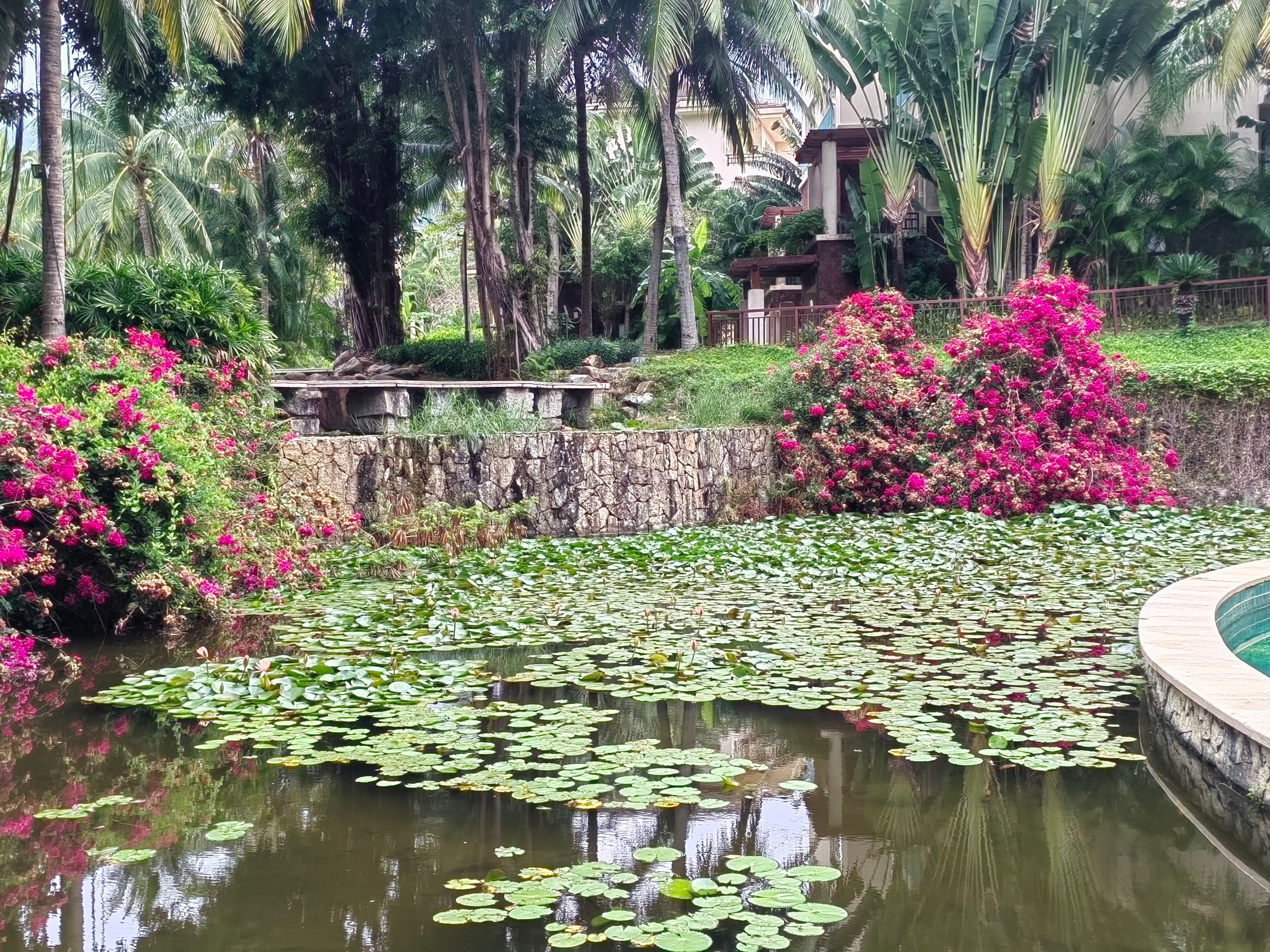 海南自驾环岛游攻略三亚出发,成都自驾海南环岛攻略路线