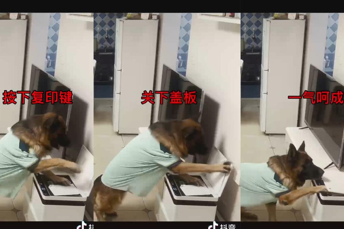 华为pixlabx1打印机深度体验,华为打印机pixlabx1能用多久