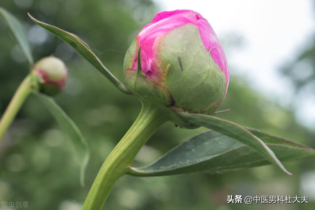 阴阳两虚可以先治疗阴虚吗,阴阳两虚去哪儿看中医好