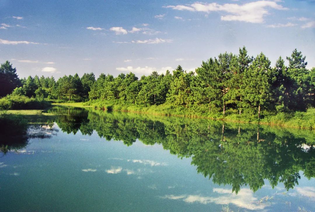 【上饶天下SHOW之铅山县】上饶这里一岩十景，徐霞客赞它为“奇境”！