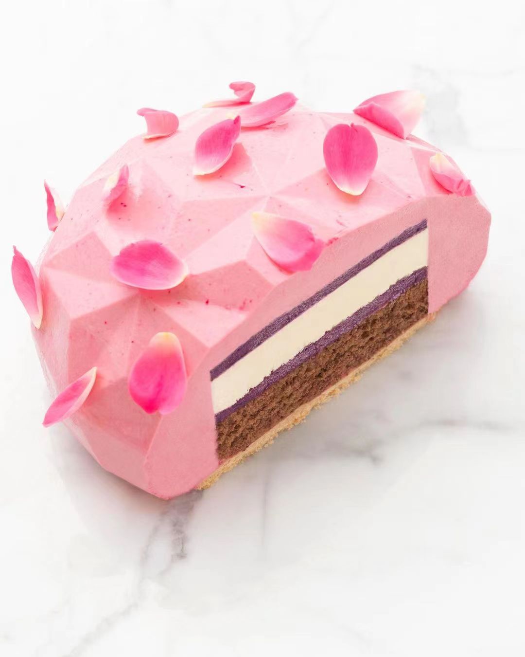 蛋糕切面,蛋糕两层夹心切面图片