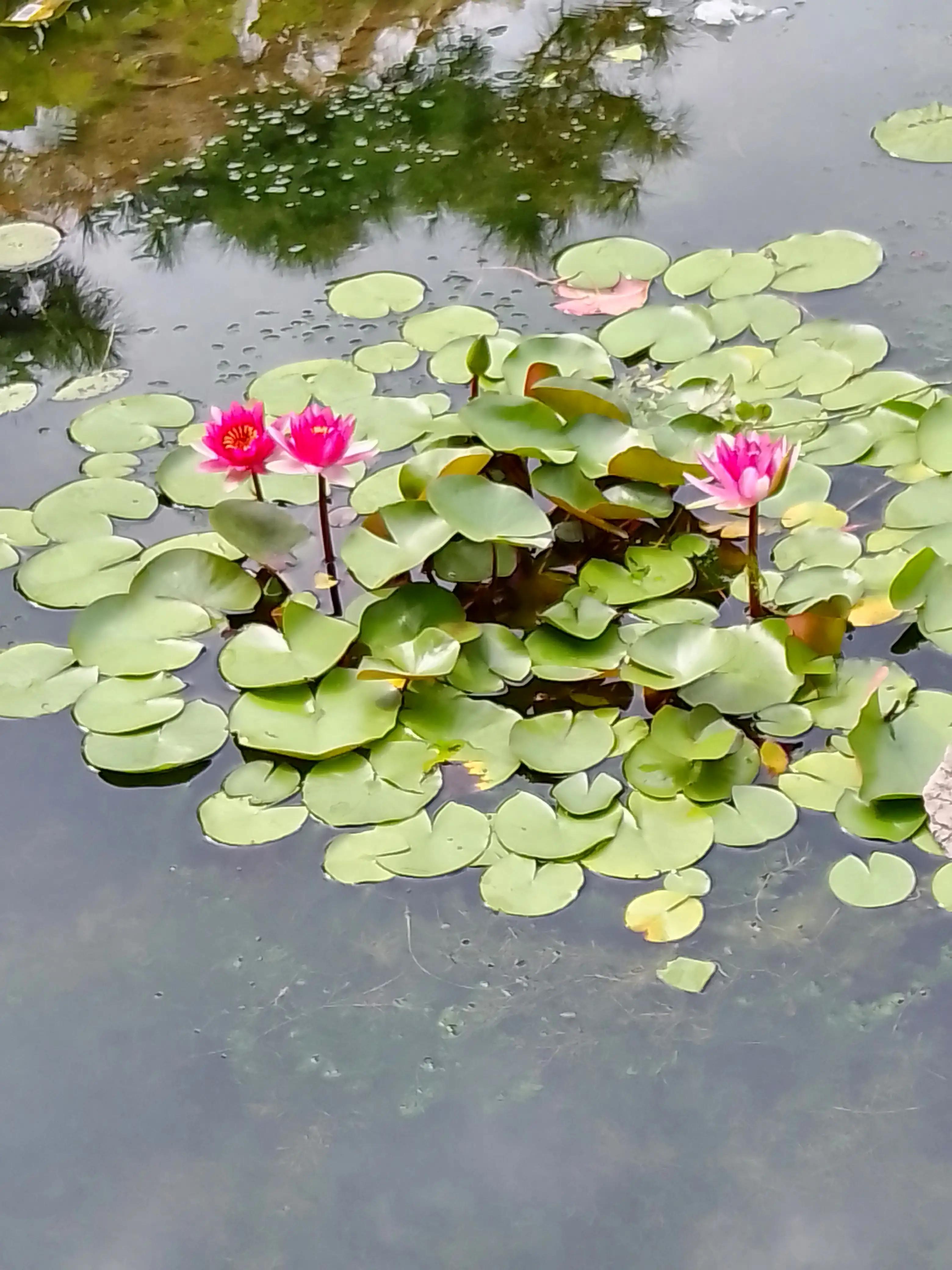 孤独寂寞随笔100字,一个人很寂寞随笔