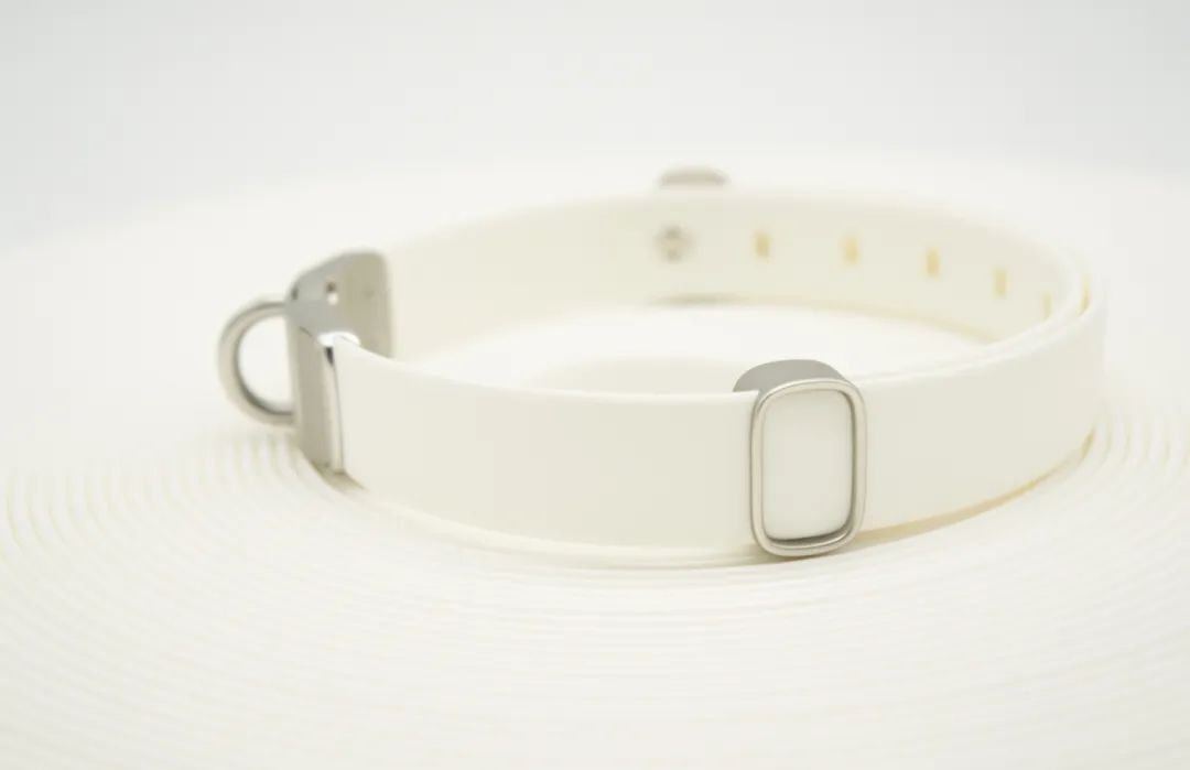 为宠物而设计,极简宠物产品