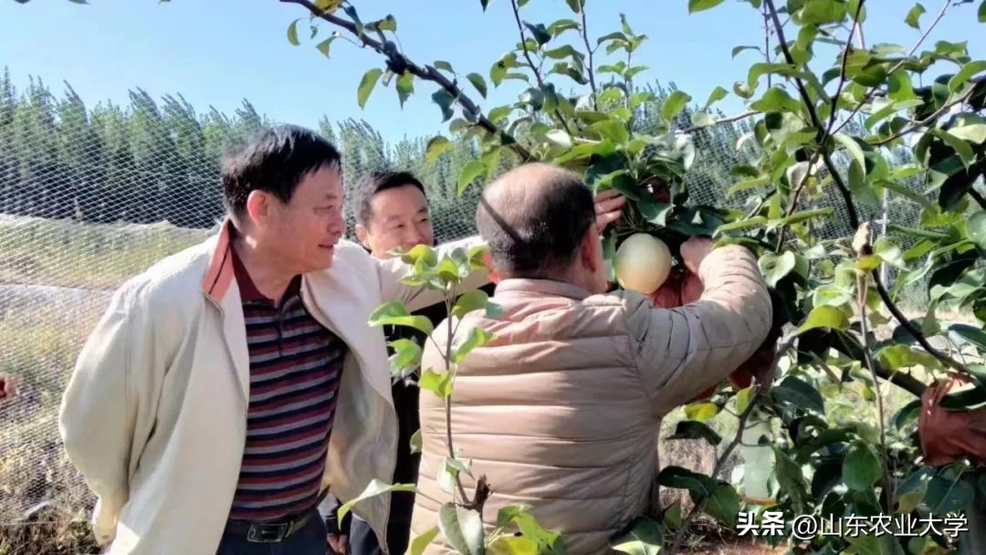 生日快乐！一起为山东农大“非凡十年”点赞
