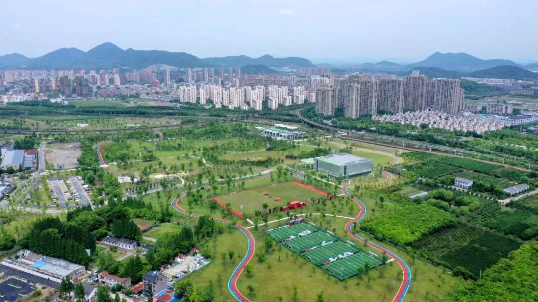 杭州临平粉黛乱子草花海地址,杭州临平30余亩粉黛花海梦幻上线