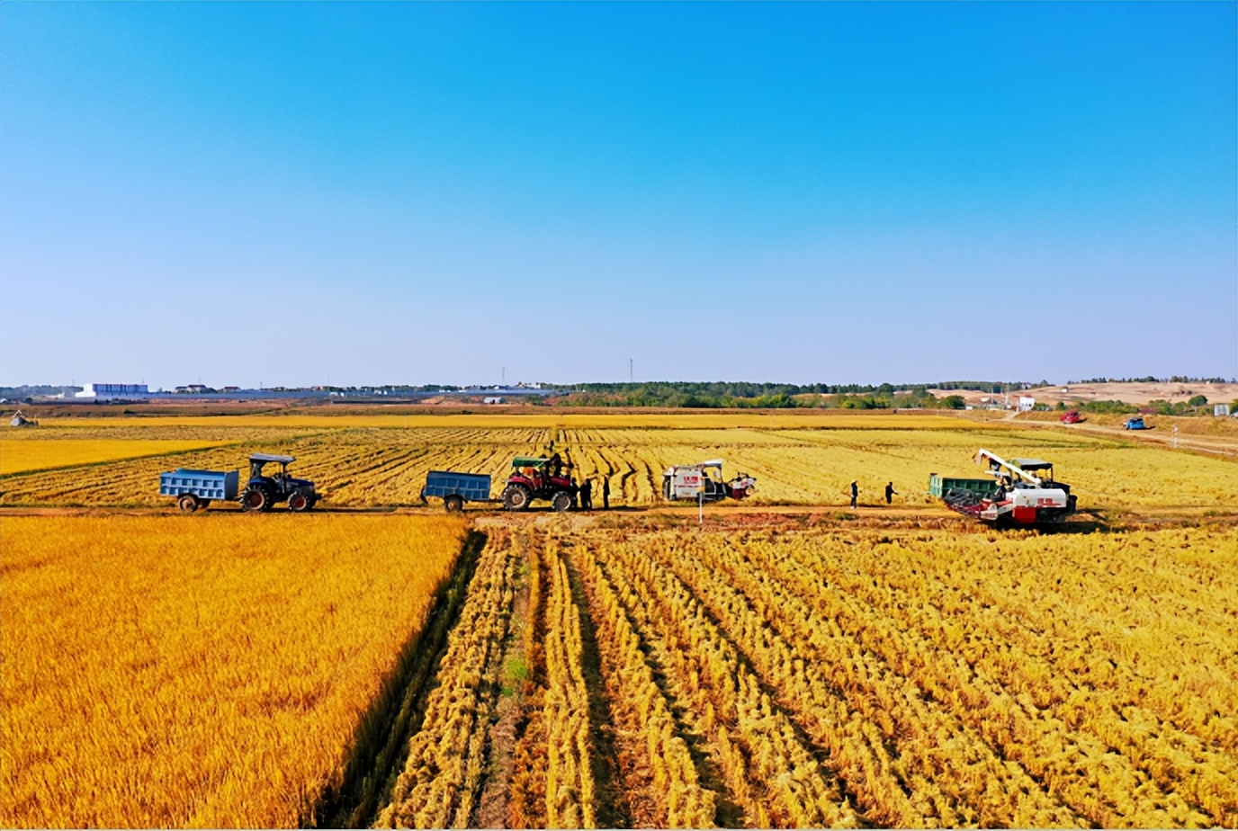 南昌的秋天文案,南昌的秋天闪闪发光