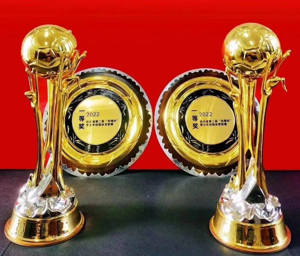 绵阳南山球员贡嘎杯,贡嘎杯初中组足球四川2024决赛