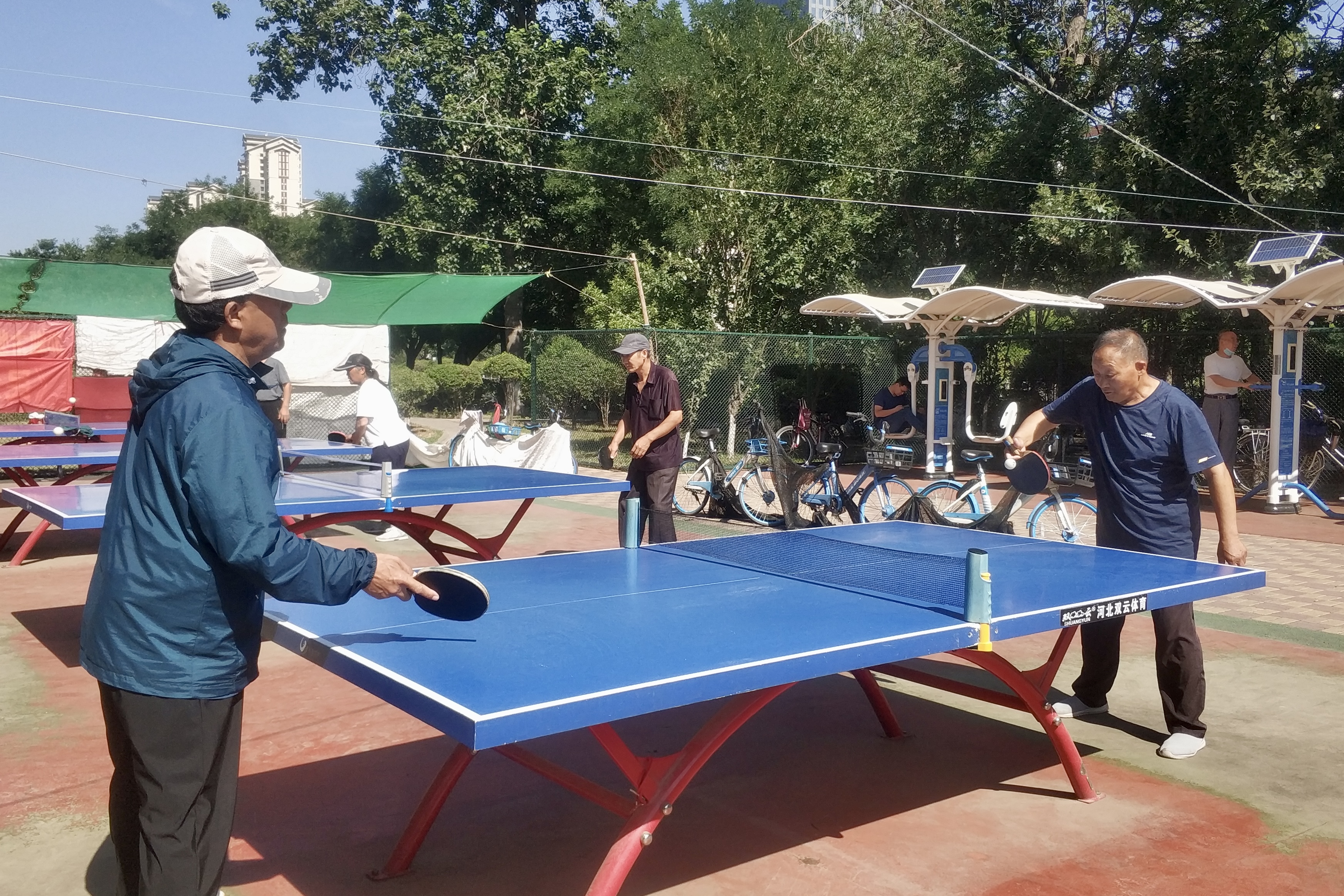 「健康生活」乒乒乓乓收获健康