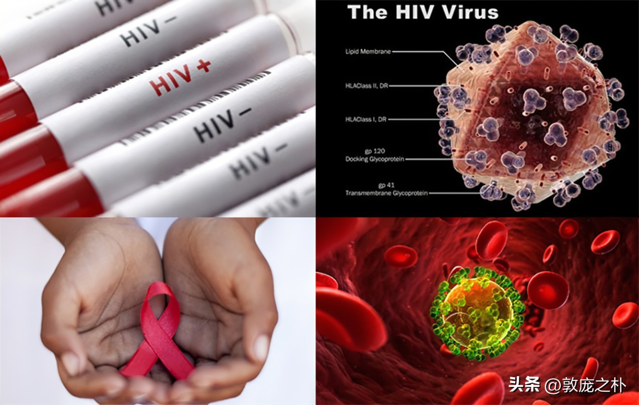 地球上十大可怕的病毒,地球上最厉害的十种病毒都是什么