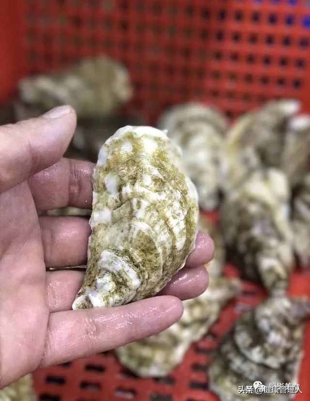 海鲜贝类品种大全及名字,22种海鲜贝类做法大全