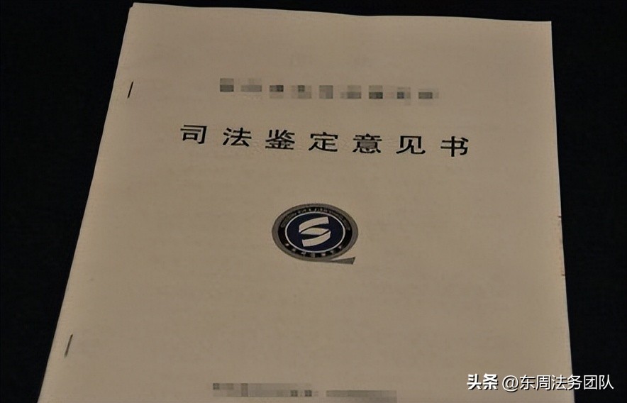 向法院申请出庭作证的申请如何写,第三人出庭申请书范本