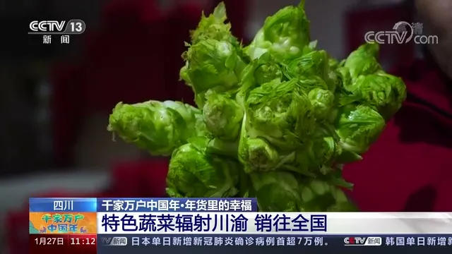 央视小姐姐打卡资中“菜篮子”！2分55秒强势推介——