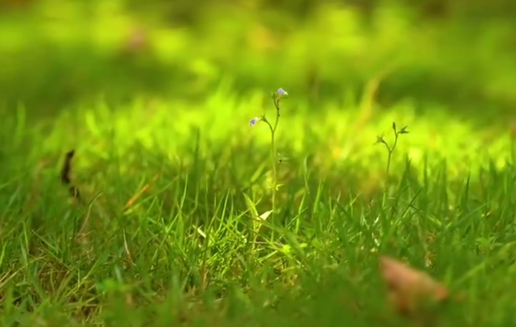 古人最初是用什么确定二十四节气,汉代二十四节气形成没