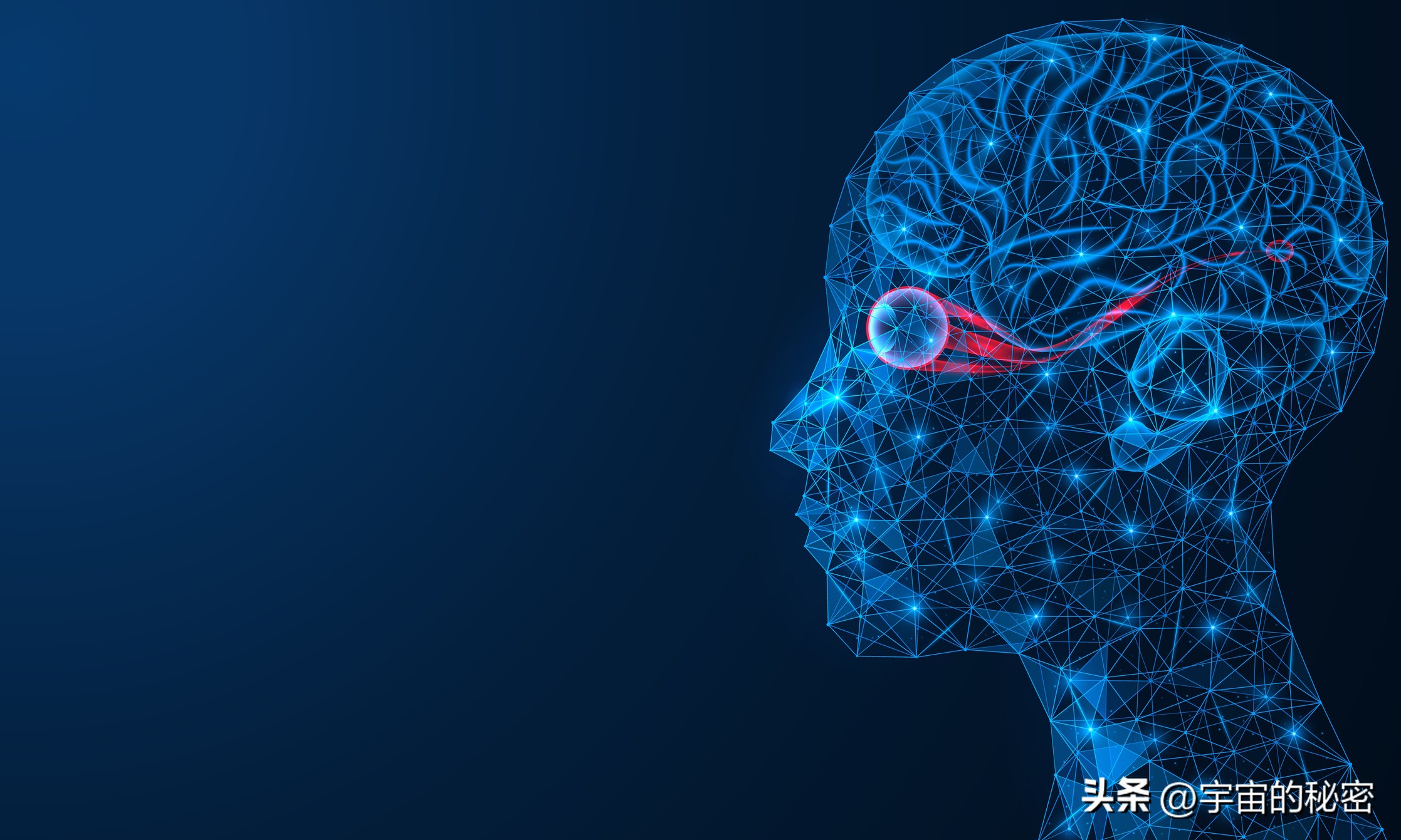 科学家怀疑现实世界是真的吗,科学家证实我们是虚拟的世界