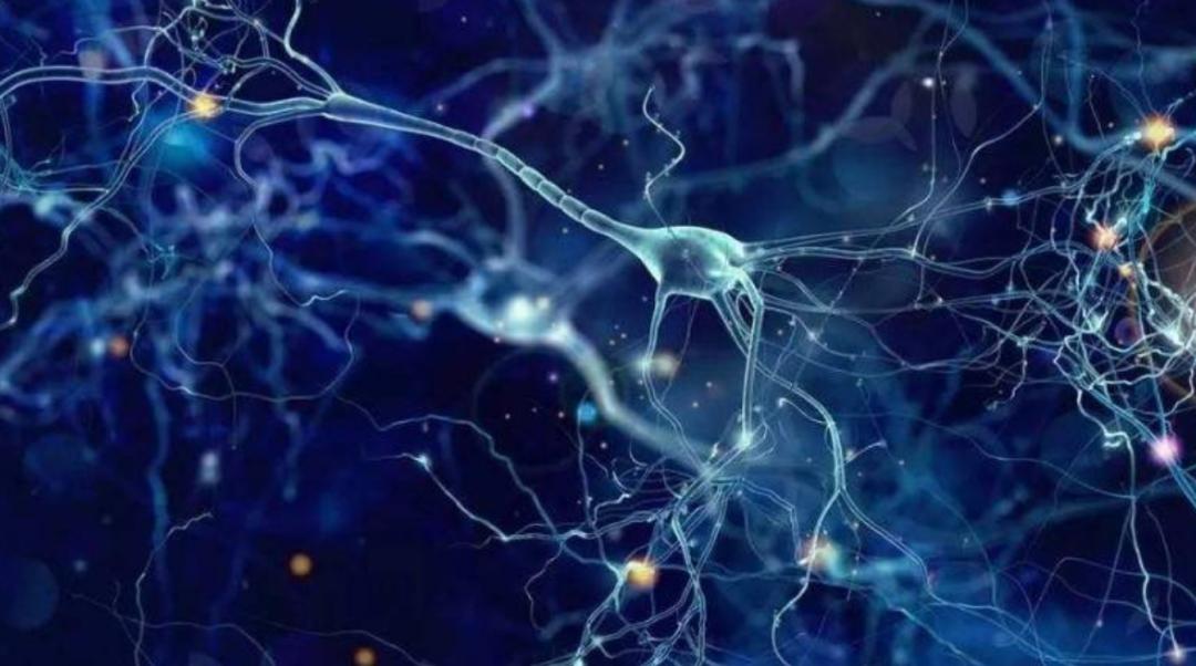 人类的大脑到底有多强大,人类的大脑是多少g的内存