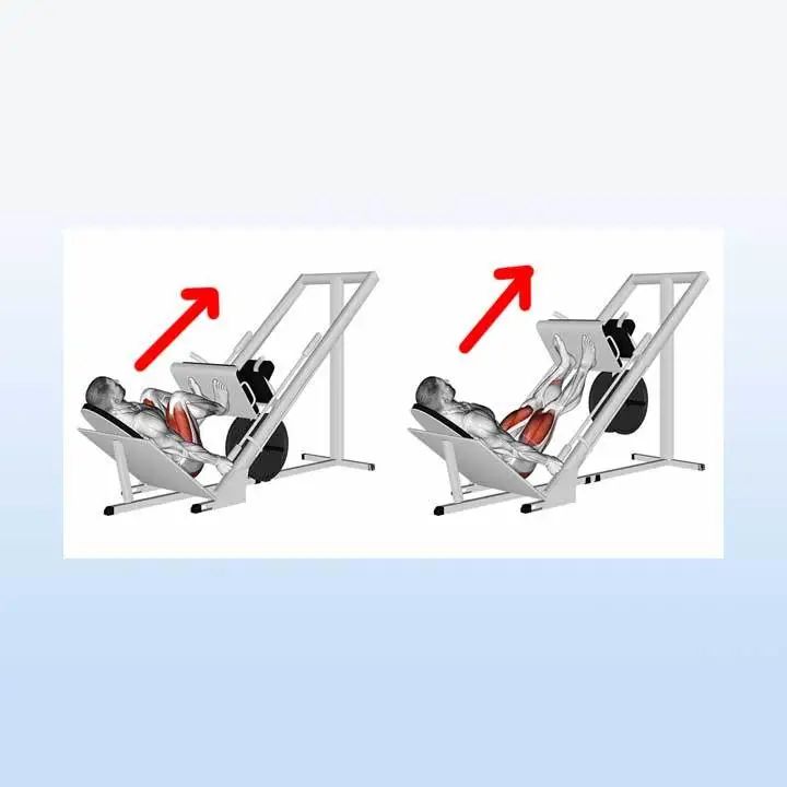 硬拉适合每个人吗,你的硬拉姿势做对了吗