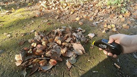 战术你的相机-奈特科尔BlowerBaby清洁套件丨评测