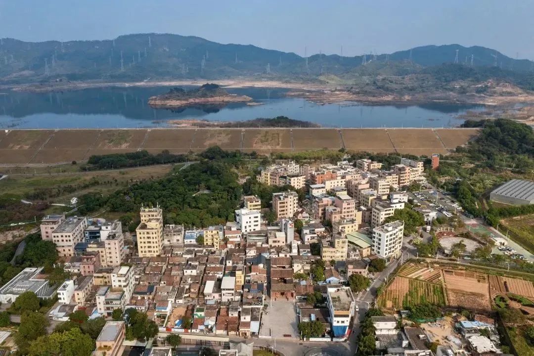 央视对农民富起来的评价,央视关注乡村