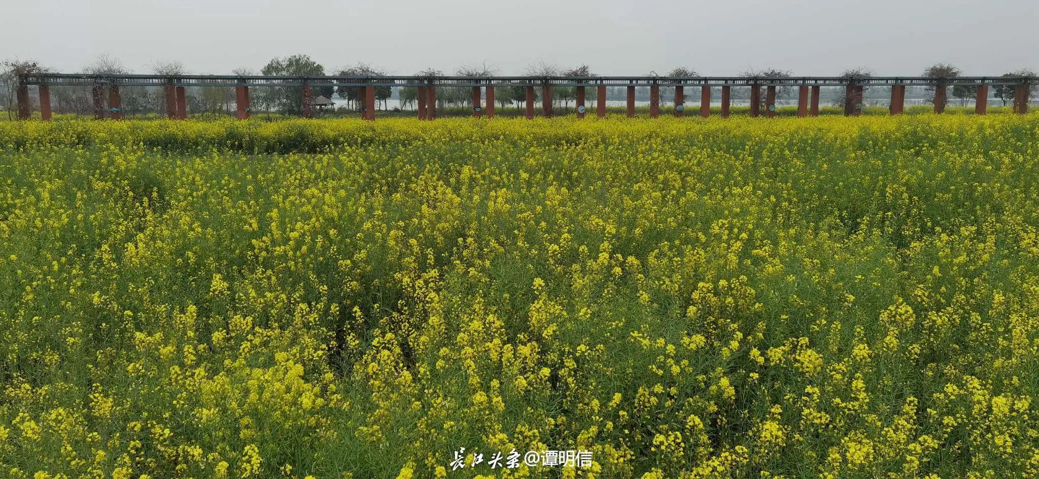 精明女人理财之道,女人的理财