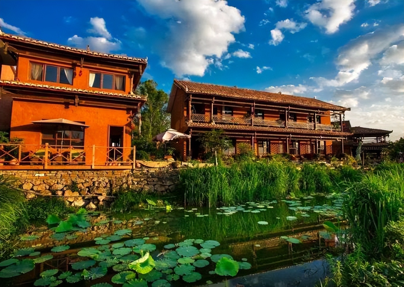 普者黑省旅游景点全攻略,普者黑风景区一天游玩攻略