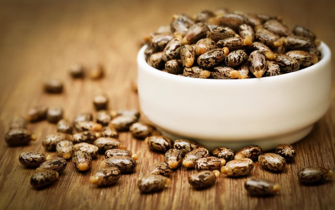 蓖麻子真的有剧毒吗,野生蓖麻的毒害