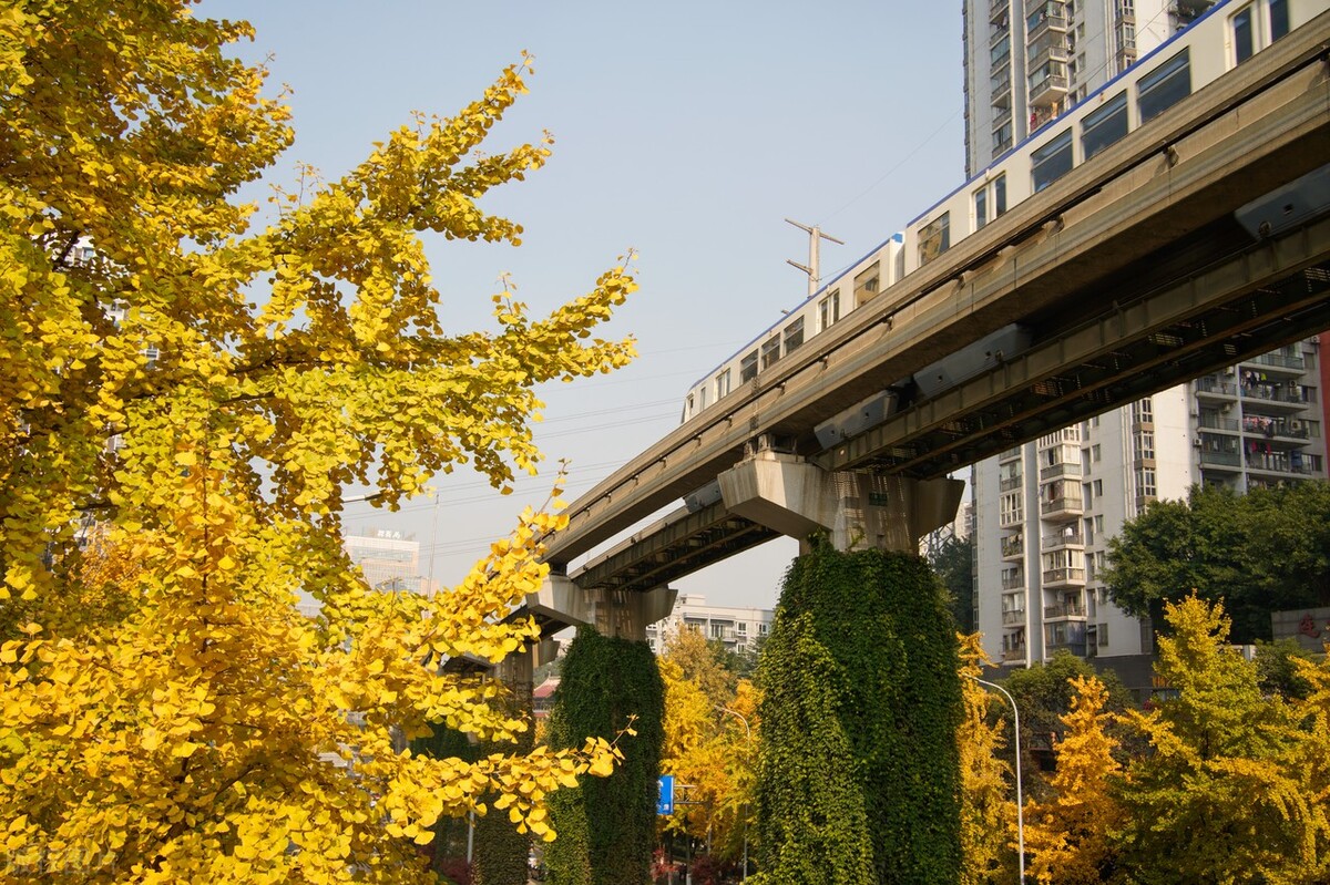 回头看你的时候的感悟,回头看工作