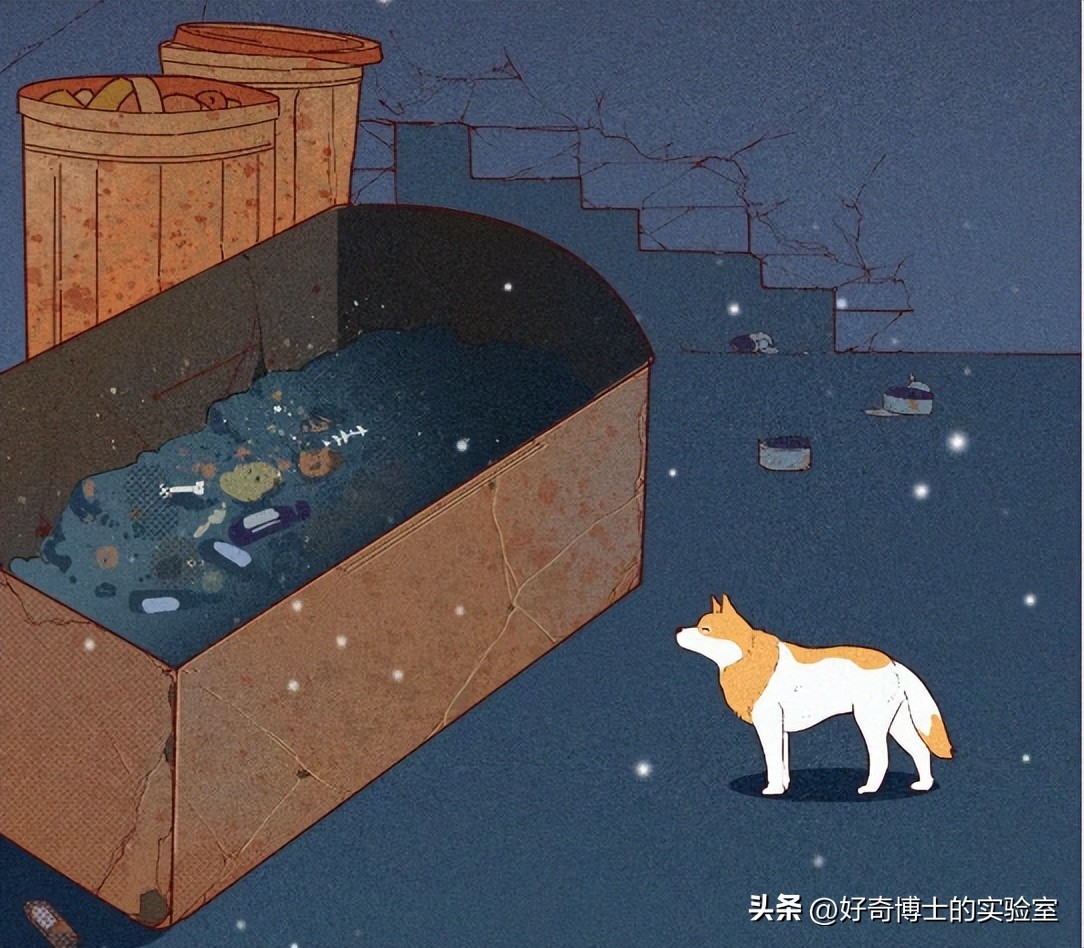 狗朝着没人的地方狂吠，是看到了什么「不干净」的东西吗？