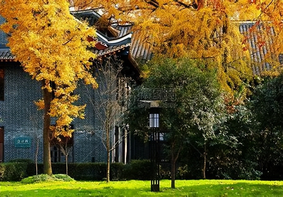 考研难度低医学,考研选法医专业有什么要求吗