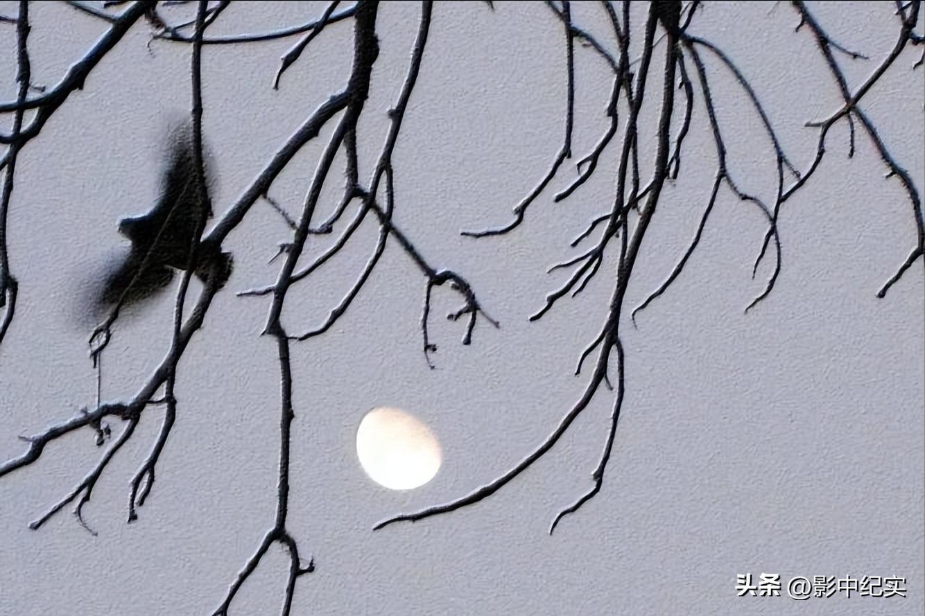 苏轼被贬黄州后留下哪些名句,苏轼被贬黄州的人生经历简短