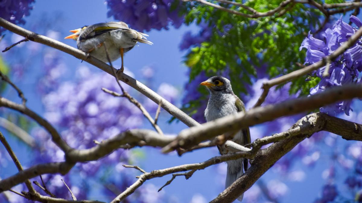 “同房”时女性声音太大，整日惊扰邻居，医生：这其实是一种疾病