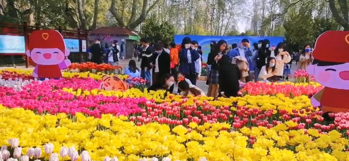 郑州周末遛娃踏青好去处,郑州春季带孩子游玩好去处推荐