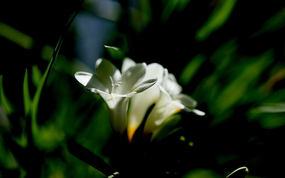 摩羯座真不是一般人能搞定的摩羯,千万别惹摩羯座的十大炸点