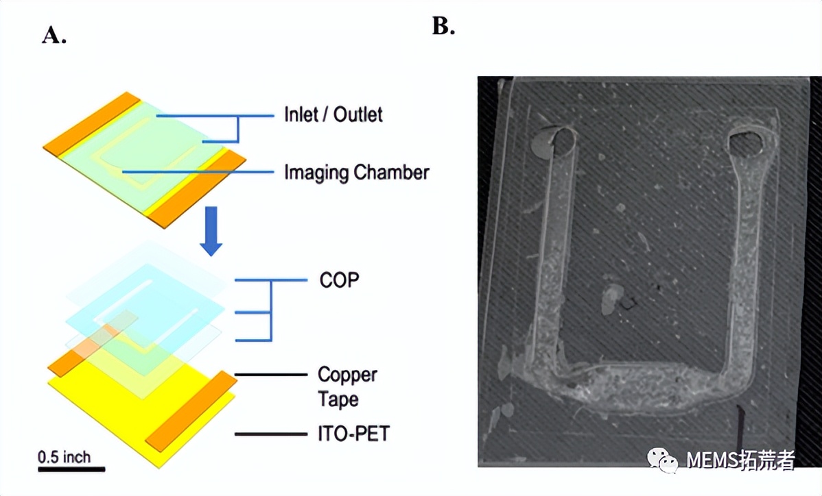 新冠病毒poct快检,新冠病毒快速检测芯片