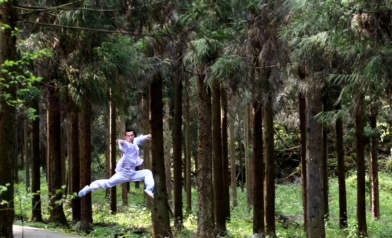 海拔高度和空气含氧量的关系,森林冬季还含负氧离子吗