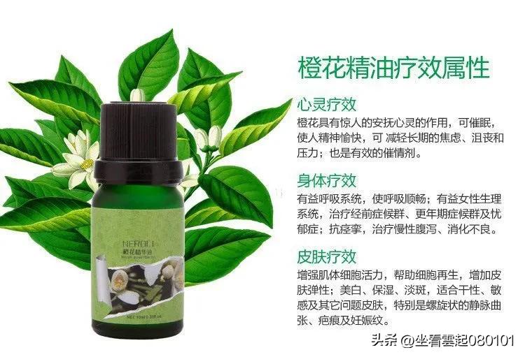 柑橘知识柑橘品种,柑桔的知识你知道几个呢